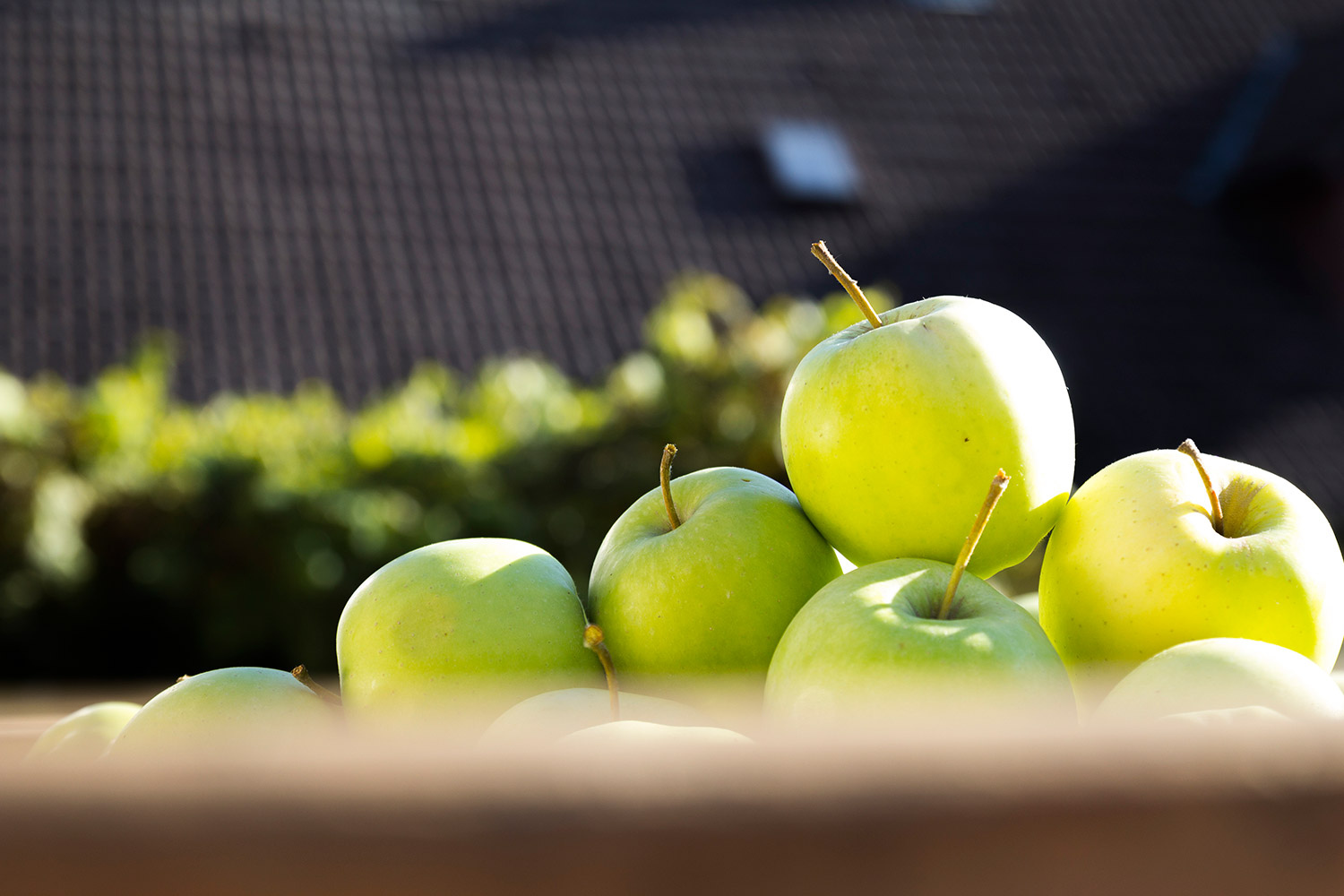 Eberl & CO KG - Apfelsaft von nebenan®